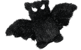 Bat